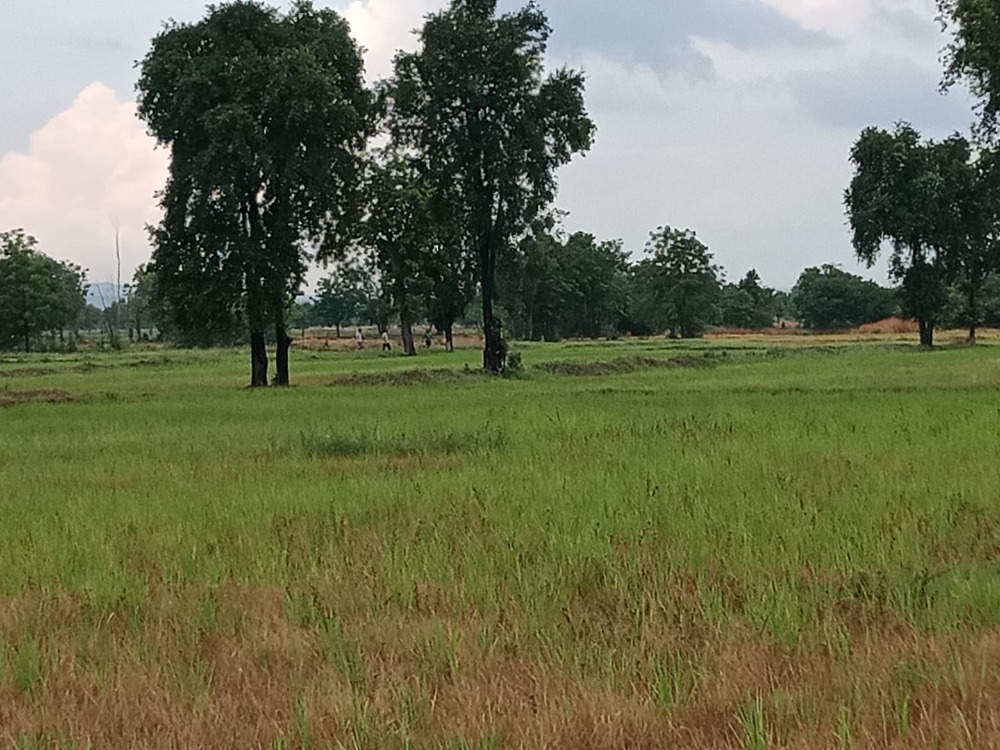 For SaleLandLop Buri : Land for sale, large plot, beautiful plot, good atmosphere, peaceful, easy to travel, Lopburi Province