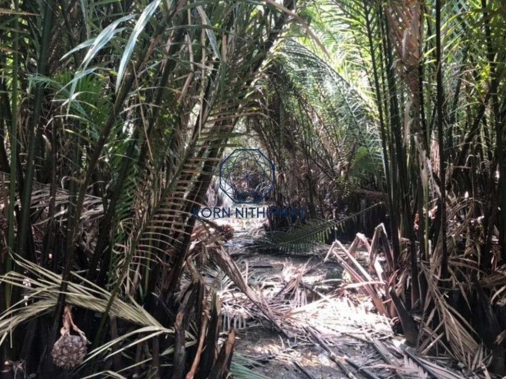 For RentLandRathburana, Suksawat : Land for rent next to the Bang Krachao River, 6-3-32 Rai | Long-term tenants are welcome. /Development of land by the river | Land Riverside for Rental