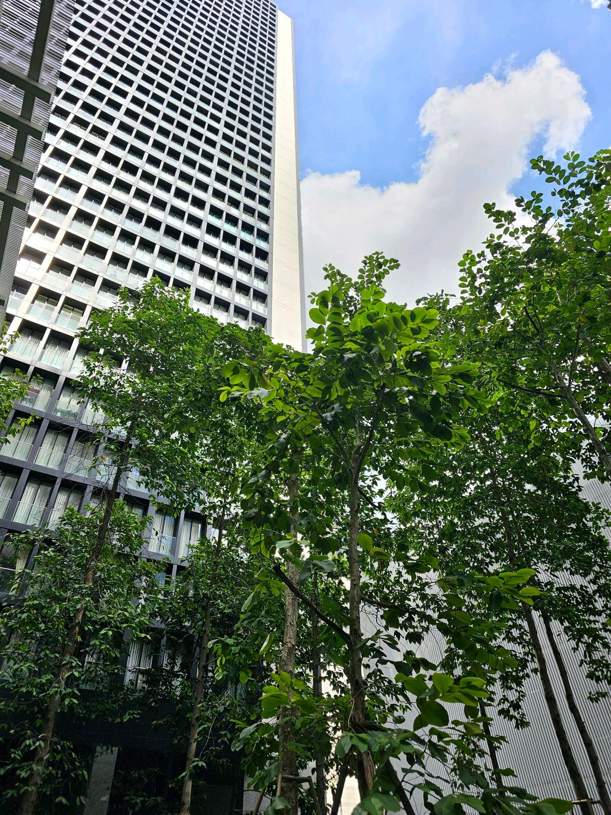 For SaleCondoWitthayu, Chidlom, Langsuan, Ploenchit : For sale: Noble Ploenchit 2 bed, 20th floor, size 81.86 sq m, open view