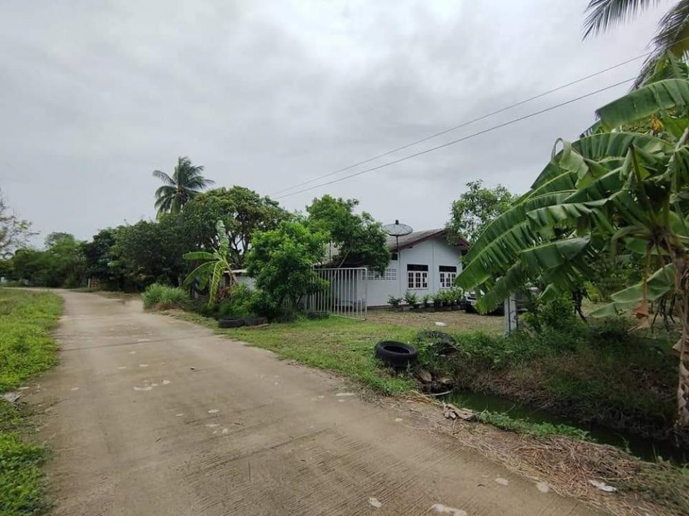 ขายบ้านสุพรรณบุรี : ขายที่ดิน 550 ตรว. พร้อมบ้าน ราคาดี ต.ศรีสำราญ อ.สองพี่น้อง #สุพรรณบุรี