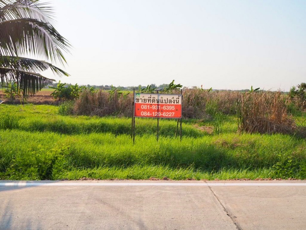 ขายที่ดินปทุมธานี รังสิต ธรรมศาสตร์ : ขายที่ดินเมืองปทุมธานี , บางหลวง, จ.ปทุมธานี  ใกล้วัดราษฏร์ศรัทธาทำ, วัดไพร่ฟ้า และ ใกล้ถนนราชพฤกษ์ ,ถนนกาญจนา ขนาด 1-1-12 ตร.วา (สนใจนัดชมห้องได้เลย ถูกใจคุยกันได้ครับ)