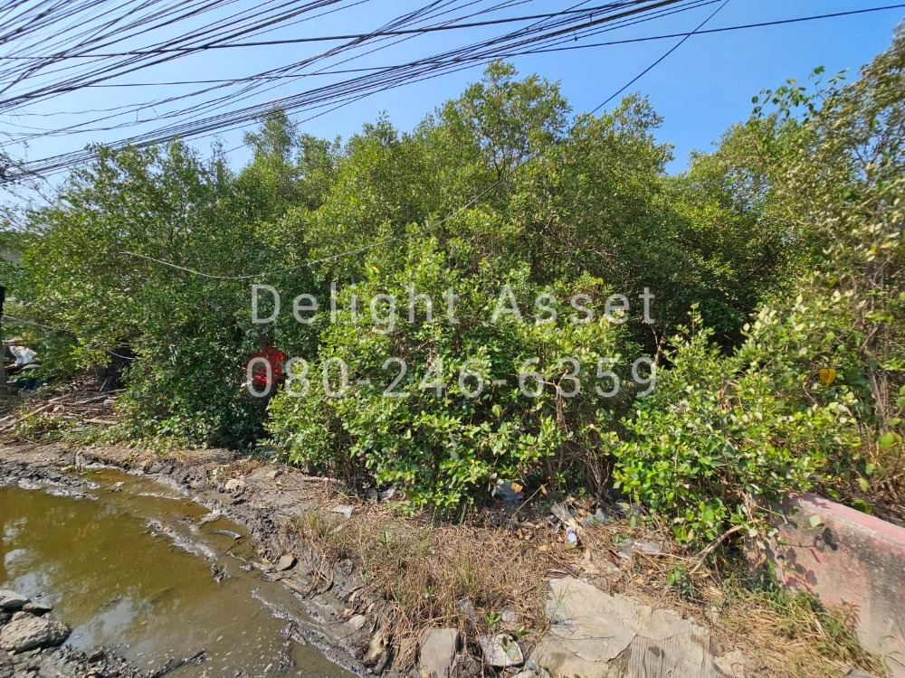 ขายที่ดิน 1-2-30 ไร่ คลองด่าน สมุทรปราการ! ขายต่ำกว่าราคาประเมินกรมธนารักษ์ ผังเมืองสีแดง ติดถนนใหญ่ แปลงสวย ใช้ประโยชน์ได้เต็มที่, ตั้งอยู่ที่บางบ่อ ใกล้ตลาดสดไทยรุ่งทิพย์ (คลองด่าน) / นิคมฯบางพลี / นิคมฯบางปู Loading...