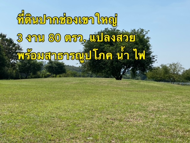 For SaleLandPak Chong KhaoYai : Land for sale in Pak Chong, Nakhon Ratchasima