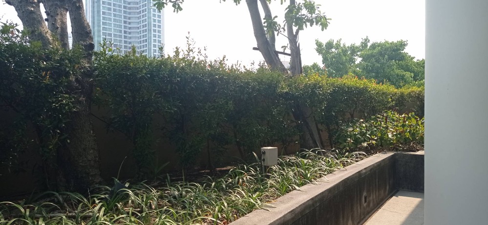 For RentCondoWongwianyai, Charoennakor : For Rent Unfurnished Duplex at The River Condo.
