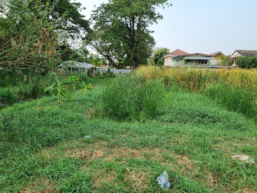 For SaleLandRattanathibet, Sanambinna : Urgent sale, good location land, orange city plan, Sanam Bin Nam, Nonthaburi Road, Tambol Thasai, Mueang District, Nonthaburi, area 1 rai