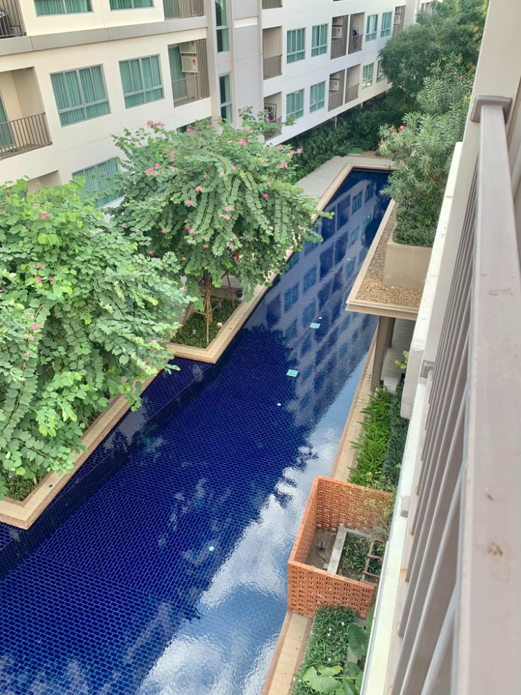 For SaleCondo : Dcondo Rin Chiangmai Pool View (ดีคอนโด ริน เชียงใหม่ วิวสระ) 2ห้องนอน2ห้องน้ำ