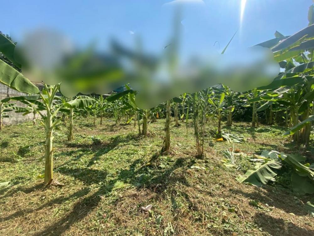 ให้เช่าที่ดินสุขุมวิท อโศก ทองหล่อ : ให้เช่าที่ดิน 357 ตารางวา @อโศก เช่าทำธุรกิจได้