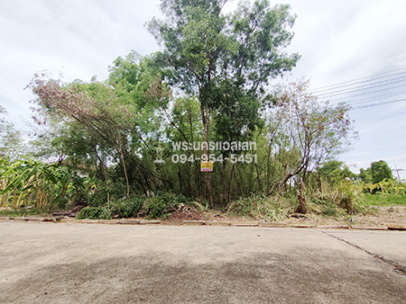 ขายที่ดินปทุมธานี รังสิต ธรรมศาสตร์ : ขายที่ดิน เนื้อที่ 180 ตรว. ถมแล้ว ม.เมืองเอก 4 ถนนเอกทักษิณ ซอยพหลโยธิน 87 ใกล้รถไฟฟ้าสายสีแดง สถานีหลักหก มหาวิทยาลัยรังสิต สนามกอล์ฟเมืองเอก ฟิวเจอร์พาร์ครังสิต เมเจอร์รังสิต ตลาดรังสิต สนามบินดอนเมือง