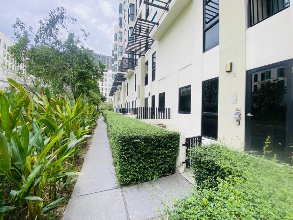 For SaleCondoBangna, Bearing, Lasalle : For Sale 4.5 M Condo for sale Unio Condo Duplex type Pool Access, resort-like atmosphere in Sukhumvit area Unio Sukhumvit 72 Phase 1 Building C