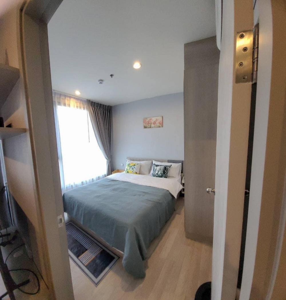 ให้เช่าคอนโดบางนา แบริ่ง ลาซาล : F156323FOR RENT ให้เช่า IDEO Mobi Sukhumvit Eastpoint