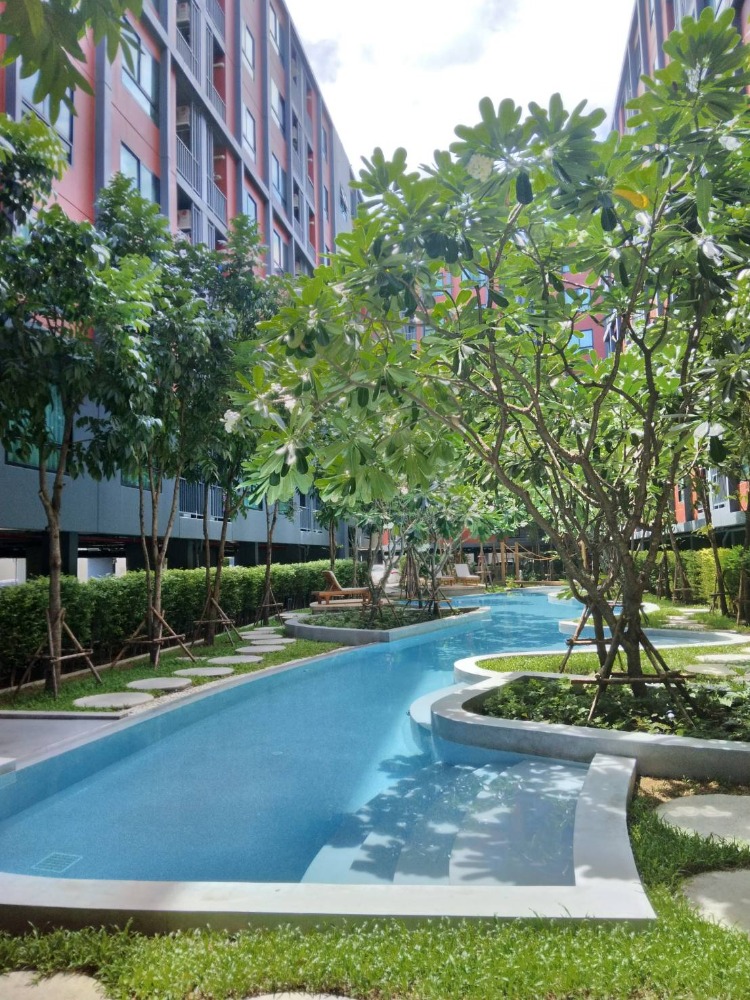For RentCondoRama9, Petchburi, RCA : Condo for rent, Monte Rama 9, near The Mall Ramkhamhaeng.