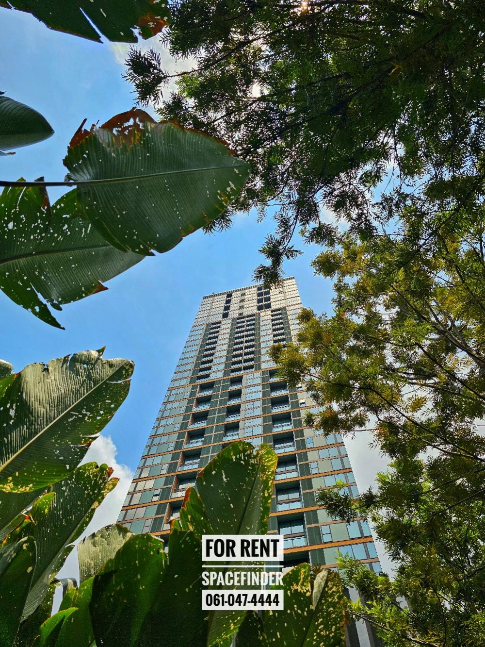ให้เช่าคอนโดสีลม ศาลาแดง บางรัก : New Duplex Unit for rent at Silom Unit Type Duplex 2 Bedrooms 1 Bathroom Unit Size 68 sq.m. High Floor (Facing East)Fully Furnished + All Appliances Ready to move inRental Price 55,000 Baht/MonthCall for viewing 0890505525 Whatsapp +66890505525 or PM