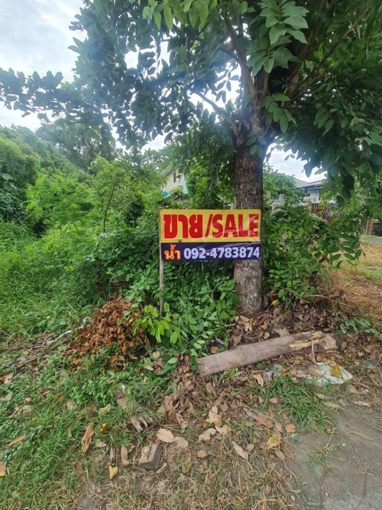 For SaleLandPathum Thani,Rangsit, Thammasat : Hot price!!! Land for sale, 907 sq m., good location, next to the road along Khlong Prem Prachakorn, Bang Phut, Suan Phrik Phrik, Wat Dao Rueang.