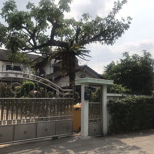 ขายบ้านวิภาวดี ดอนเมือง หลักสี่ : ขายบ้าน ปลูกเองพร้อมที่ดิน ใกล้โรงเรียนนานาชาติฮาร์โรว์ กรุงเทพและสนามบินดอนเมือง