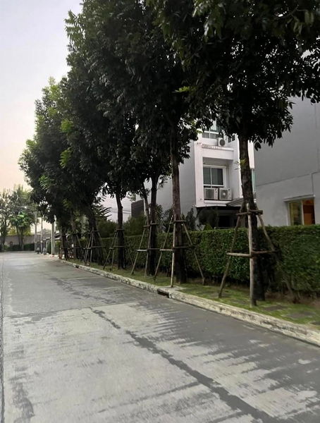 For RentTownhomeKaset Nawamin,Ladplakao : For Sale and Rent Bangkok Town House Baan Klang Muang Kaset-Nawamin Nawamin 70 Bueng Kum BRE18857