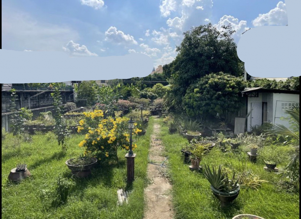 ขายที่ดินอ่อนนุช อุดมสุข : For Sale Bangkok Land Sukhumvit BTS On Nut Suan Luang BRE16578