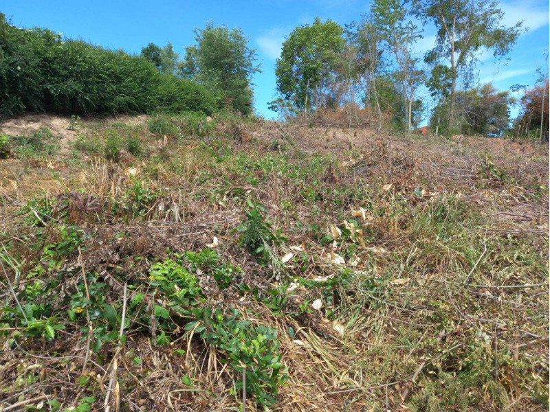 For SaleLandRatchaburi : Empty land for sale, Suan Phueng