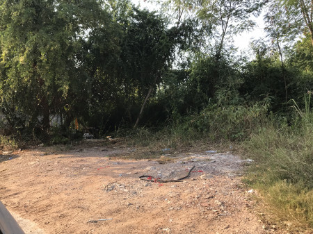 For RentLandSukhumvit, Asoke, Thonglor : Land for rent, suitable to build houses, warehouses, Sin Phatthana Thani Village, 3 jobs behind Sanam Luang 2 market