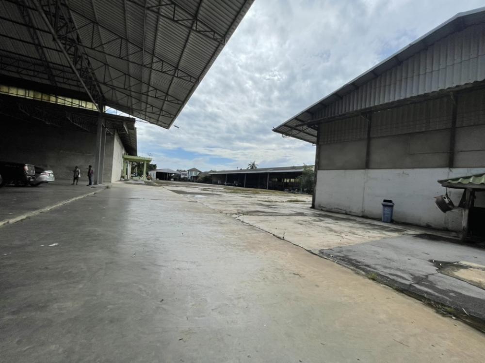 ให้เช่าโรงงานฉะเชิงเทรา : โรงงาน โกดัง แปดริ้ว ติดถนน ฉะเชิงเทรา ถูก