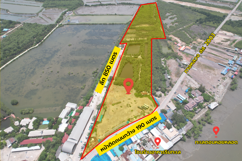 For SaleLandSamut Songkhram : Land 55 rai, Don Hoi Lot, Samut Songkhram