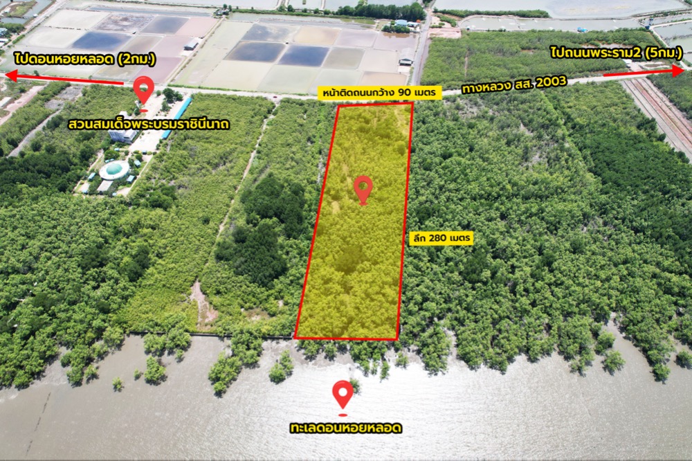 For SaleLandSamut Songkhram : Land for Sale: 16 Rai 3 Ngan 88 Sq. Wah near Don Hoi Lot Seaside