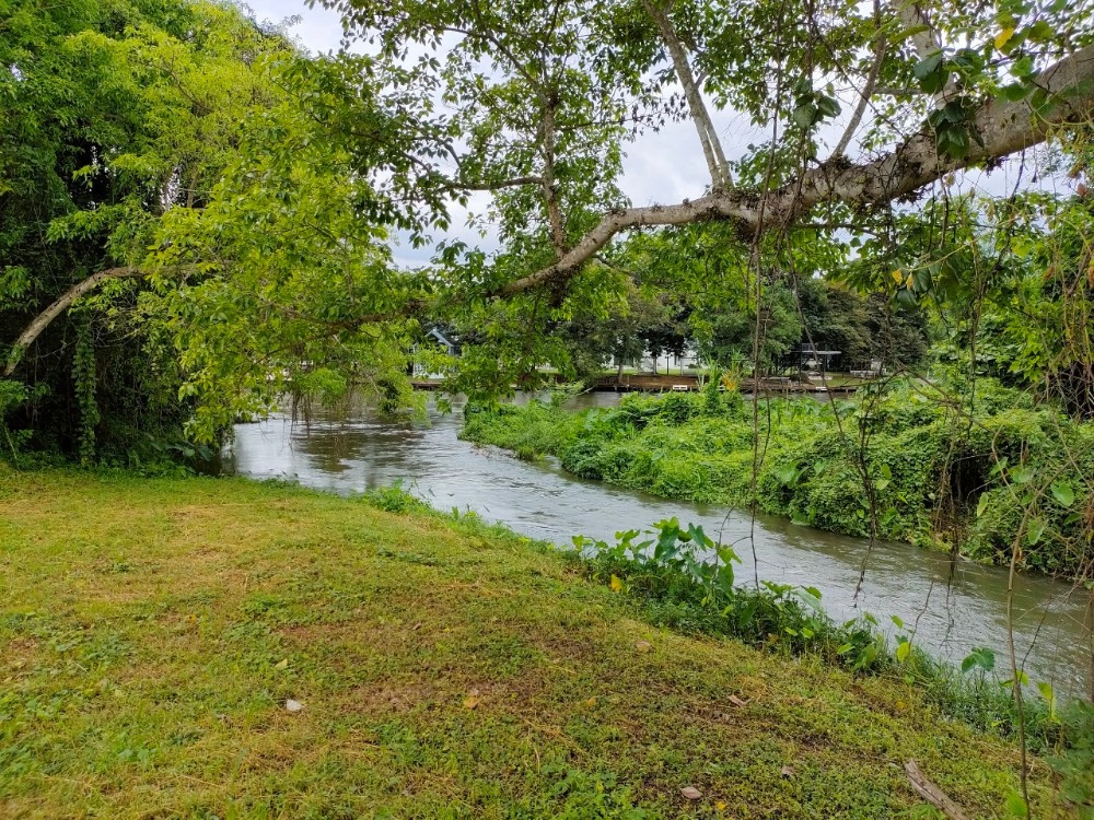 ขายที่ดินชะอำ เพชรบุรี : ขายที่ดินเพชรบุรีติดแม่น้ำเพชร อ. แก่งกระจาน ติดรีสอร์ทเดอะทรี เหมาะสำหรับสร้างรีสอร์ท ทำลานแคมป์ปิ้ง ลานกางเตนท์ หรือบ้านพักตากอากาศ