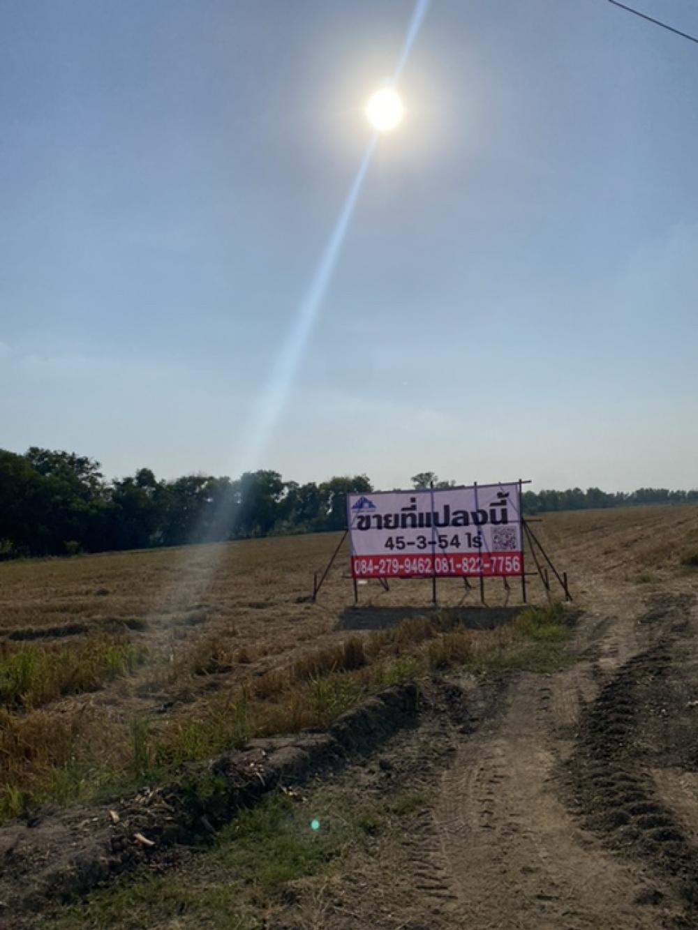 For SaleLandAyutthaya : Land for sale in Bang Pa-in