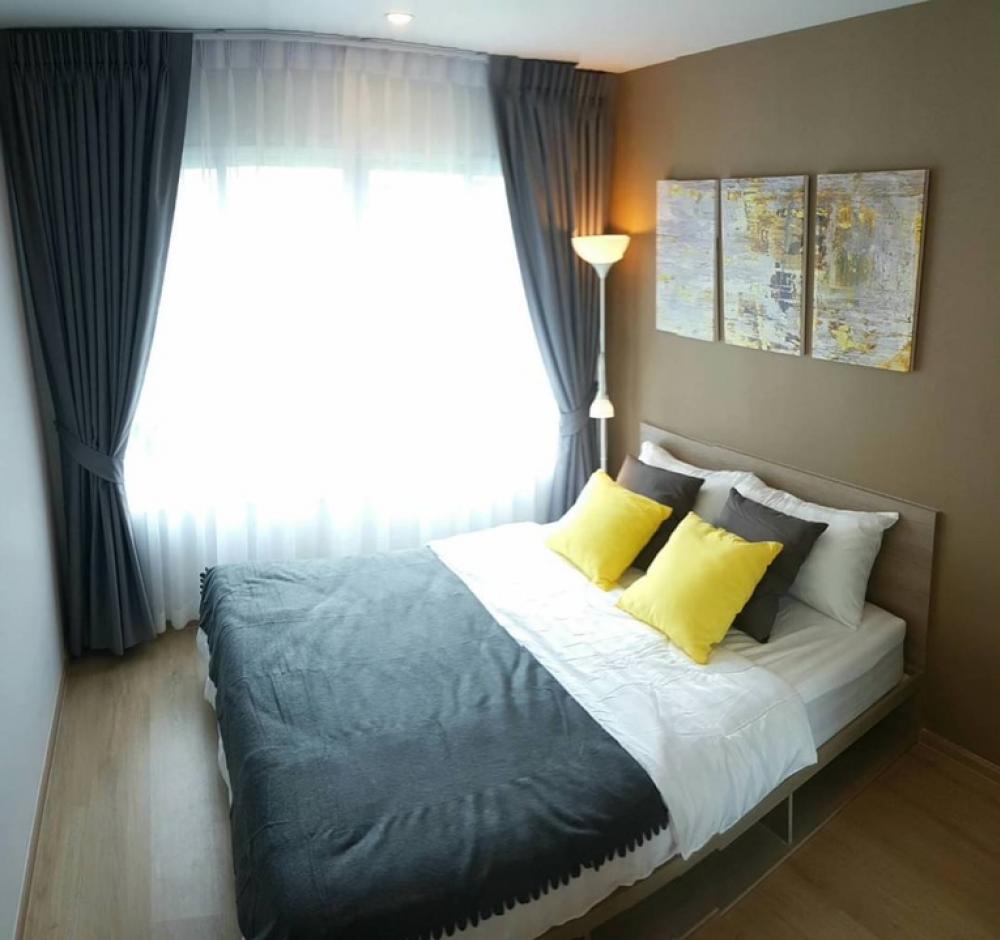 ให้เช่าคอนโดเกษตรศาสตร์ รัชโยธิน : 🔥Special Price condo **Elio Del Moss Phaholyothin34 วิวดีที่สุดของโครงการ🔥Price 13,000 THB. per month
