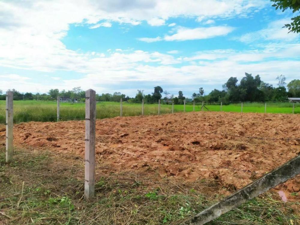 For SaleLandNong Khai : Land for sale 155 sq m near 7-Eleven Lotus Go Fresh Noen Phra Nao, near the city, near the Kheha-Bueng Kan bypass road.