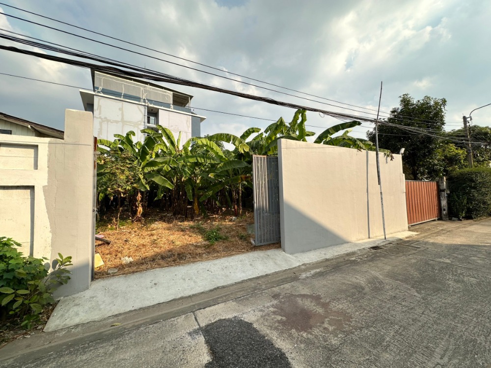 ขายที่ดินแจ้งวัฒนะ เมืองทอง : ที่ดิน ซอยเรวดี งามวงศ์วาน แคราย / (ขาย), Land Soi Rewadi Ngamwongwan Khae Rai / (SALE) STONE735