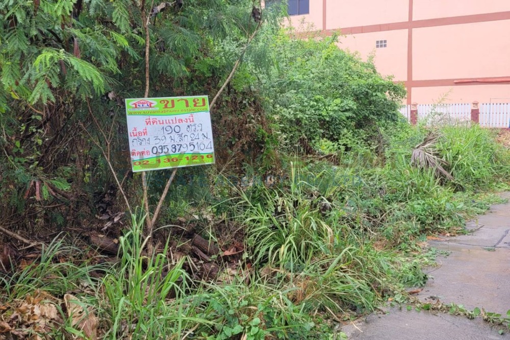 For SaleLandPattaya, Bangsaen, Chonburi : Rice field land, bypass road, Mueang Chonburi