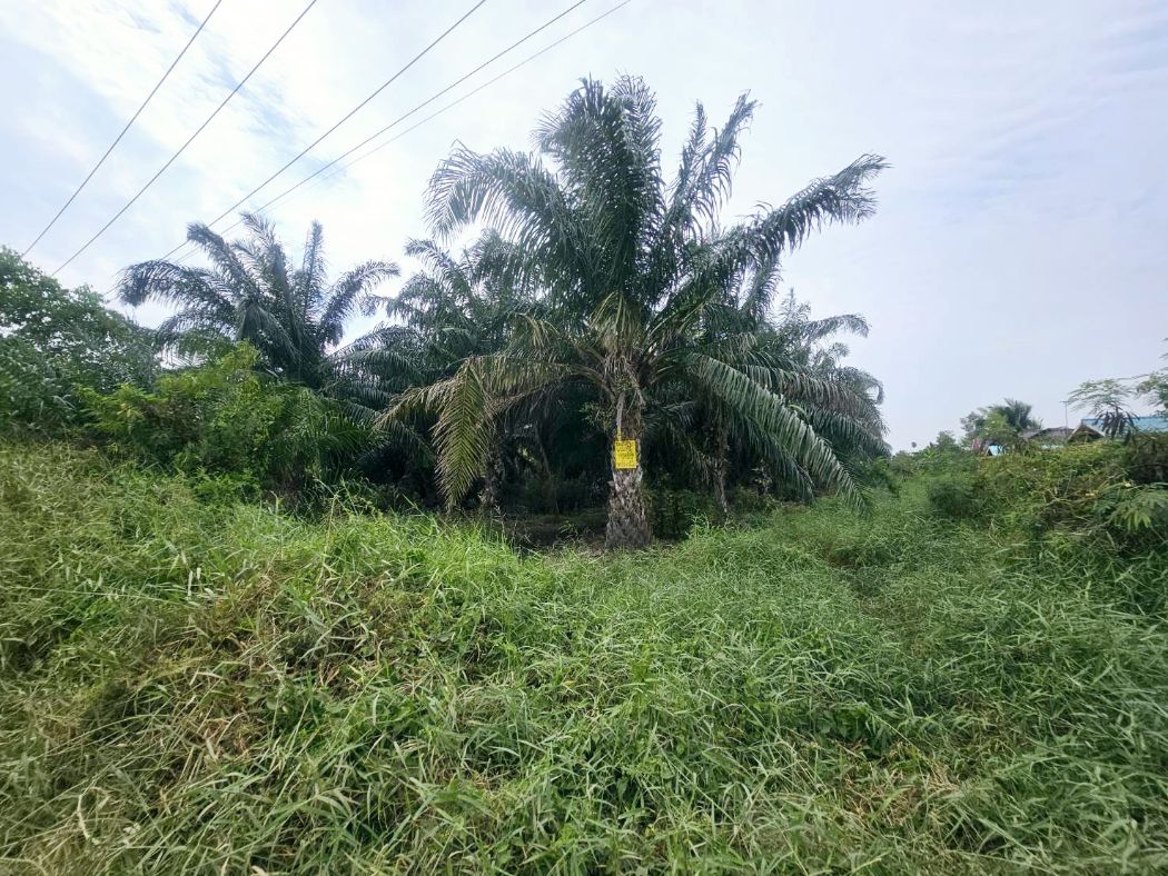 Land for sale, beautiful plot along Khlong 8, 6 rai, Bueng Bon Subdistrict, Nong Suea, Pathum Thani. Loading...