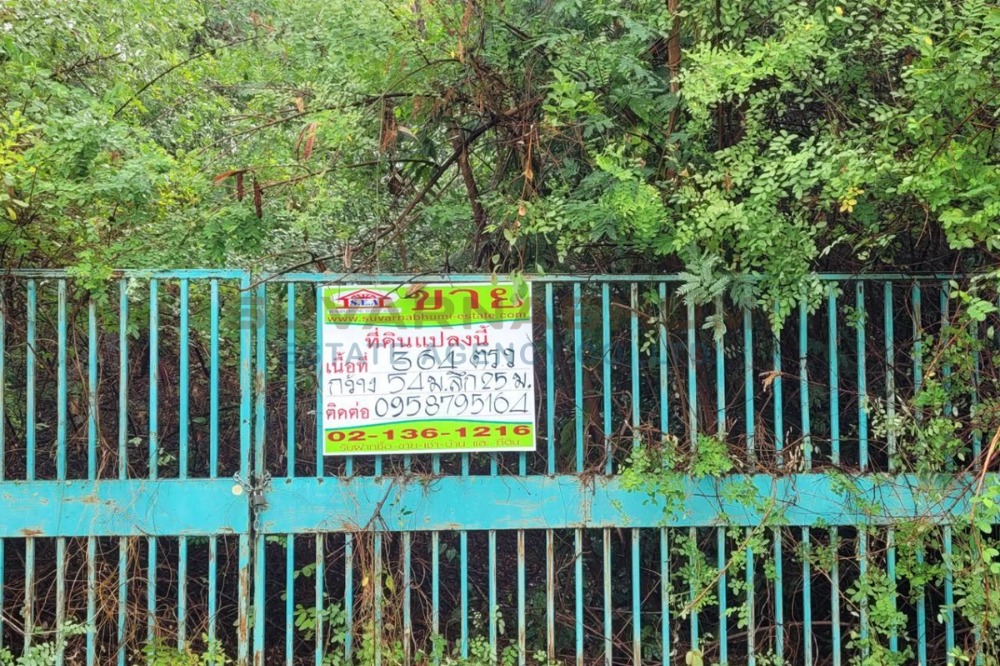 For SaleLandPattaya, Bangsaen, Chonburi : Na Pa land, Bypass Road, Mueang Chonburi, 364 square wah.