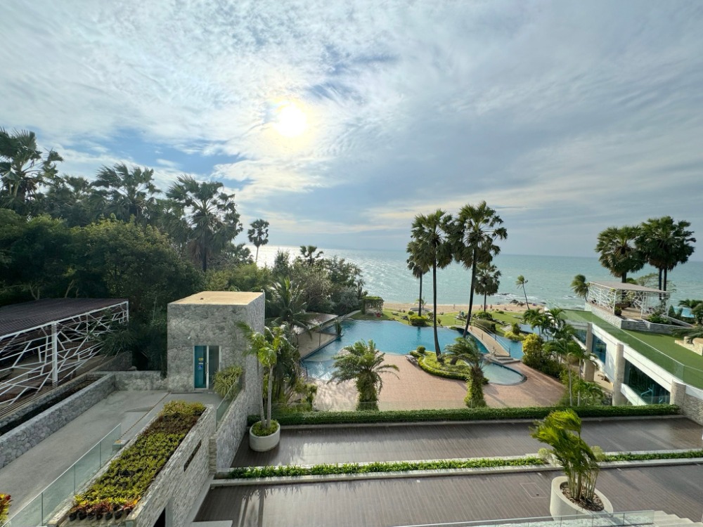 ขายคอนโดพัทยา บางแสน ชลบุรี สัตหีบ : The Palm Wongamat Beach on Private beach 1Bedroom (53sq.m)✨For sale 8.59MB
