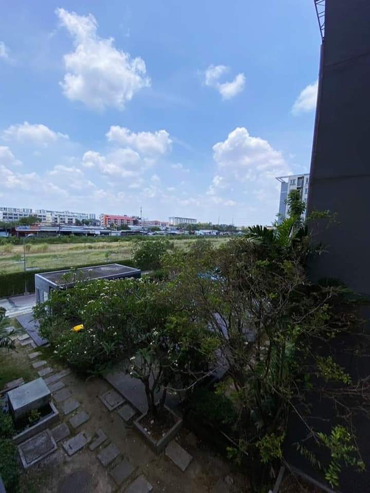 ให้เช่าคอนโดลาดกระบัง สุวรรณภูมิ : ให้เช่าคอนโด 1 ห้องนอน Iris Avenue Onnuch – Wongwan🔥ใกล้ Airport Link สถานีลาดกระบัง🔥