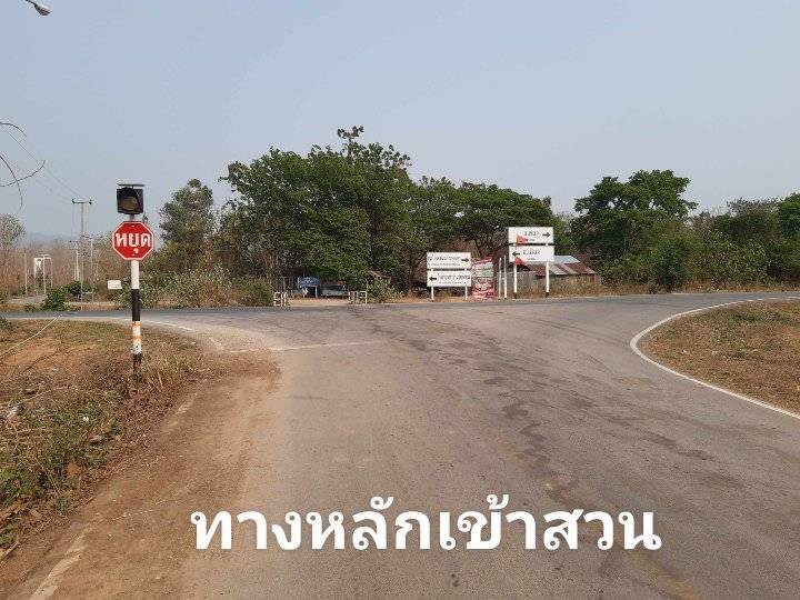 ขายที่ดินแพร่ : ขายที่ดิน - 3 ไร่ 2 แปลงติดกันมีโฉนดพร้อมโอน ไร่ละ 150,000 เท่านั้น ทำเลดีติดถนน ใกล้โรงเรียน