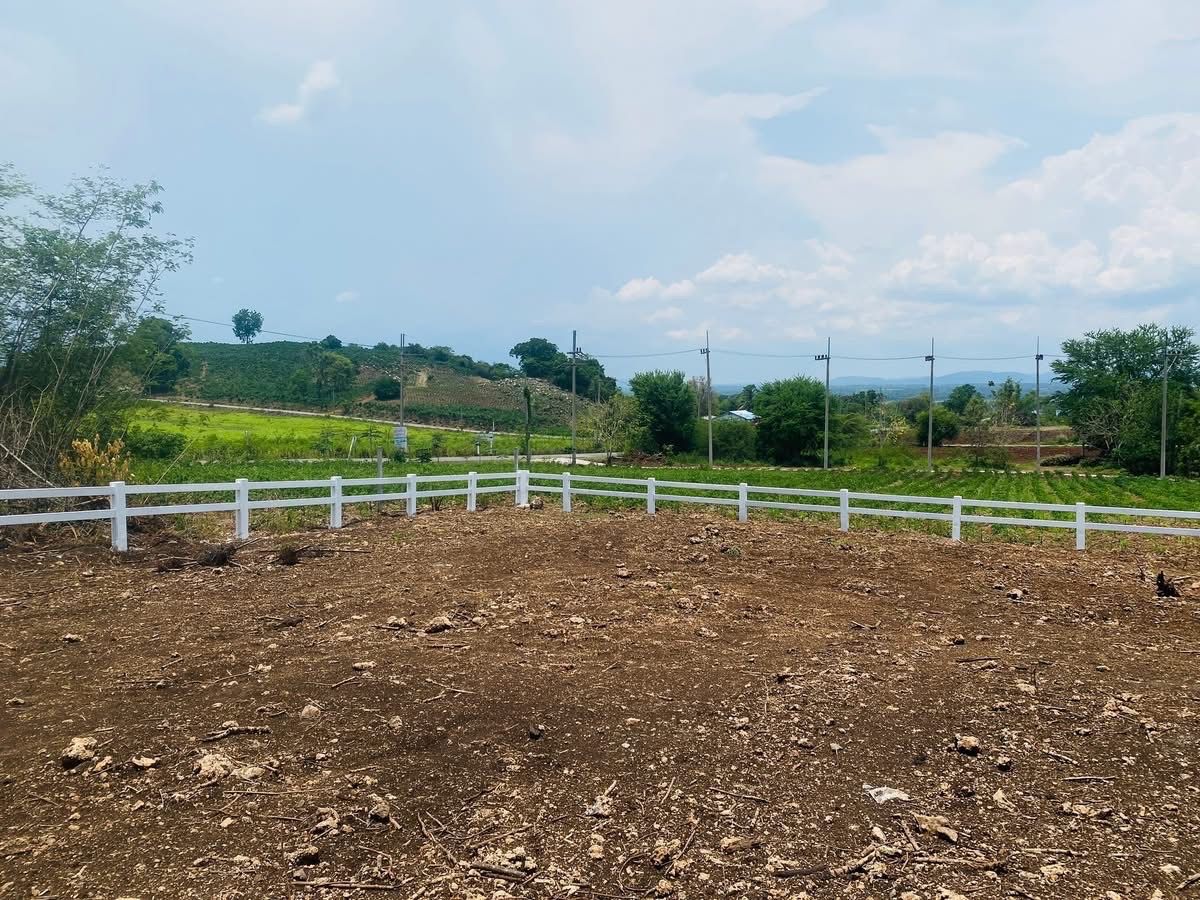 For SaleLandPak Chong KhaoYai : Small plot of land for sale in Wang Sai Subdistrict, Pak Chong District