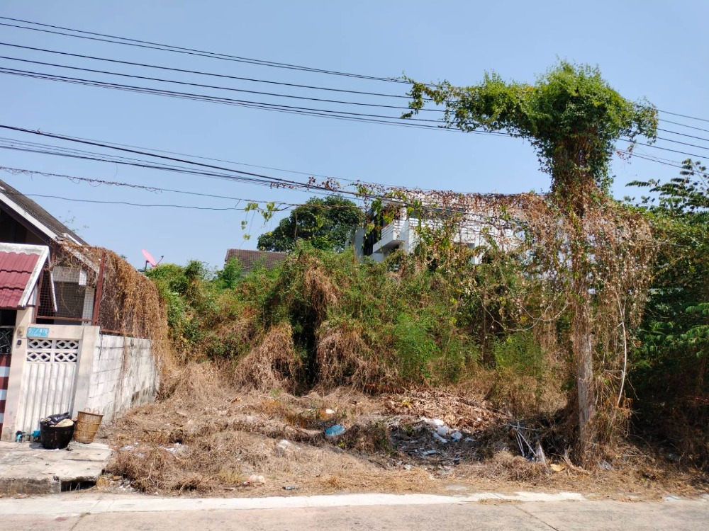 ขายที่ดินแจ้งวัฒนะ เมืองทอง : LAND FOR SELL ขายที่ดินเปล่า 75 ตรว. ในเมืองทองธานี ใกล้ถนนบอนสตรีท หน้ากว้าง 12 ม. พร้อมโอนฯ