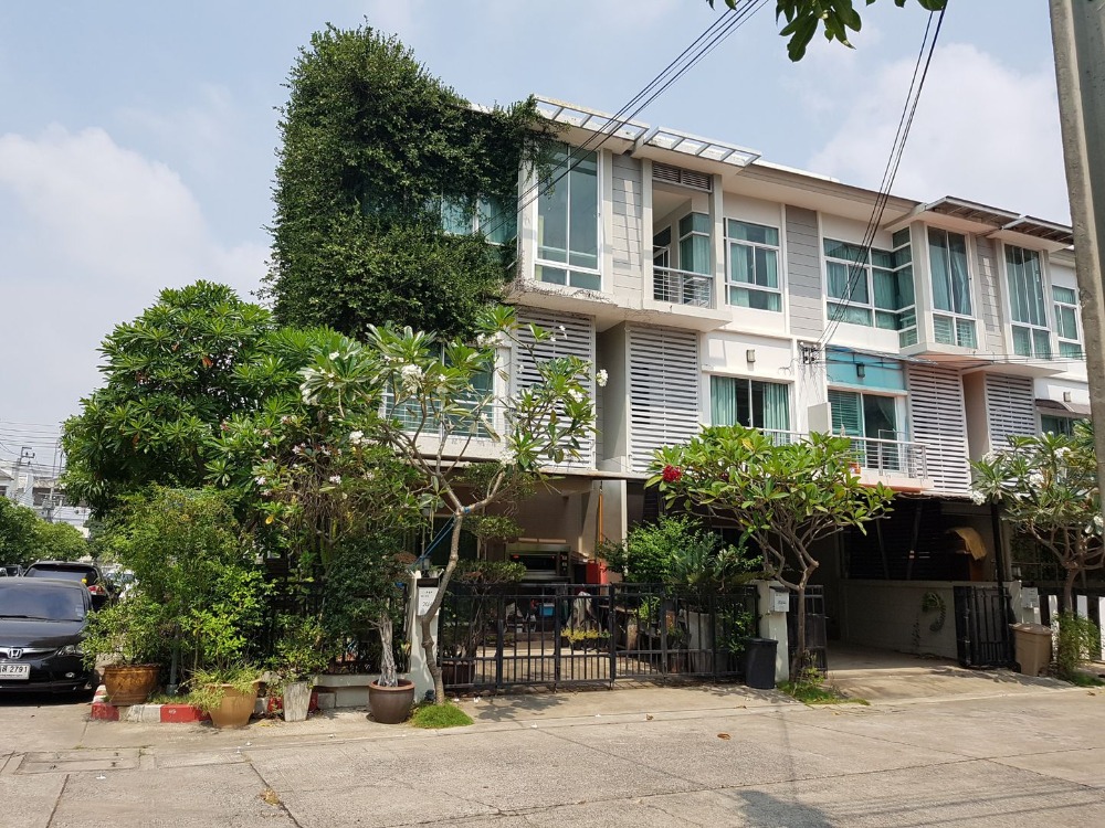 ให้เช่าทาวน์โฮมลาดกระบัง สุวรรณภูมิ : 5T140567 - ให้เช่า ทาวน์โฮม เดอะ เมทโทร พระราม 9 3 ชั้น ขนาดพื้นที่ 18.8 ตร.ว. (For Rent The Metro Rama 9)