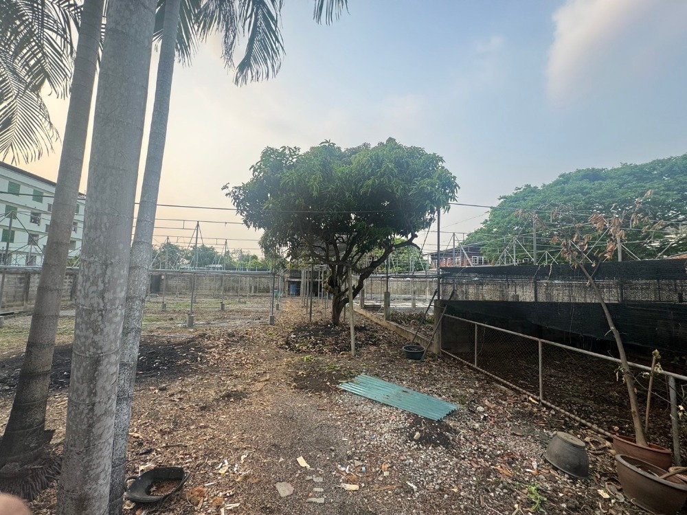 For SaleLandBang kae, Phetkasem : Land for sale, various sizes, 221 sq w., near The Mall Bang Khae, free transfer fee.