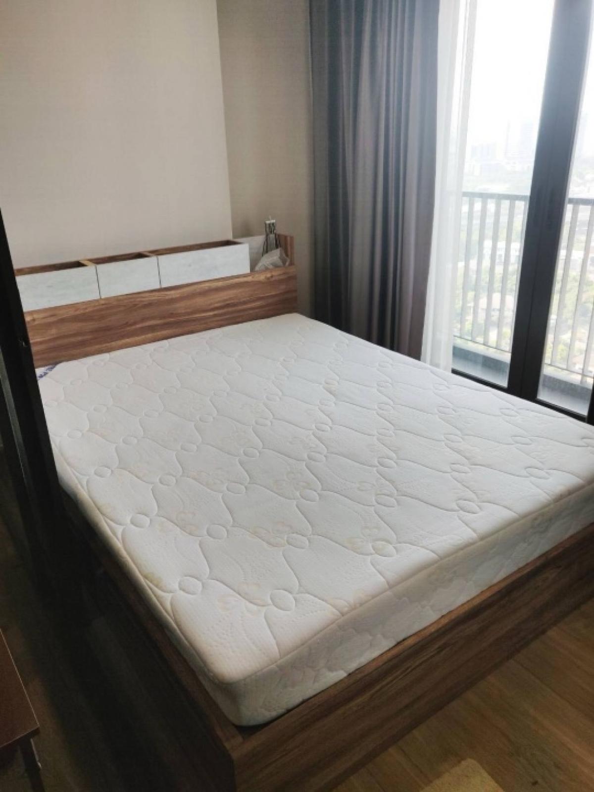 For RentCondoPinklao, Charansanitwong : @6pm.property for rent The Tree RIO Bang - Aor Station, good price, ready to move in [PM1015]