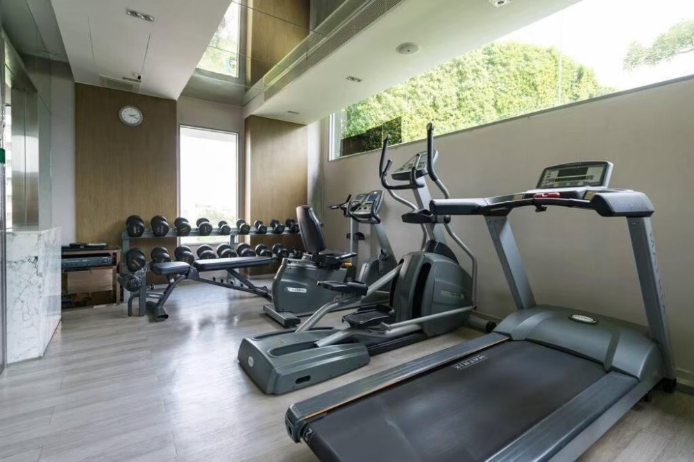 ให้เช่าคอนโดสุขุมวิท อโศก ทองหล่อ : ให้เช่า Ceil by แสนสิริ ซอยเอกมัย12