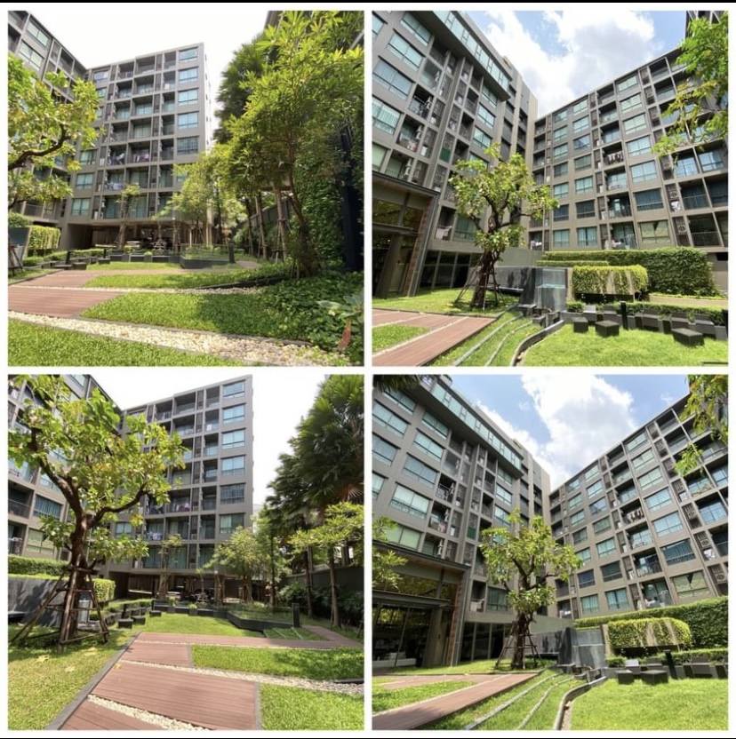 Ns: For Sale!! The Tree Sukhumvit 64 Loading...