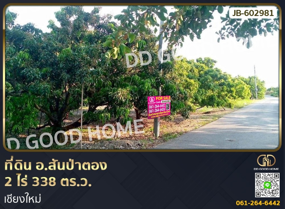 For SaleLandChiang Mai : Land, San Pa Tong District, 2 rai 338 sq w., Chiang Mai