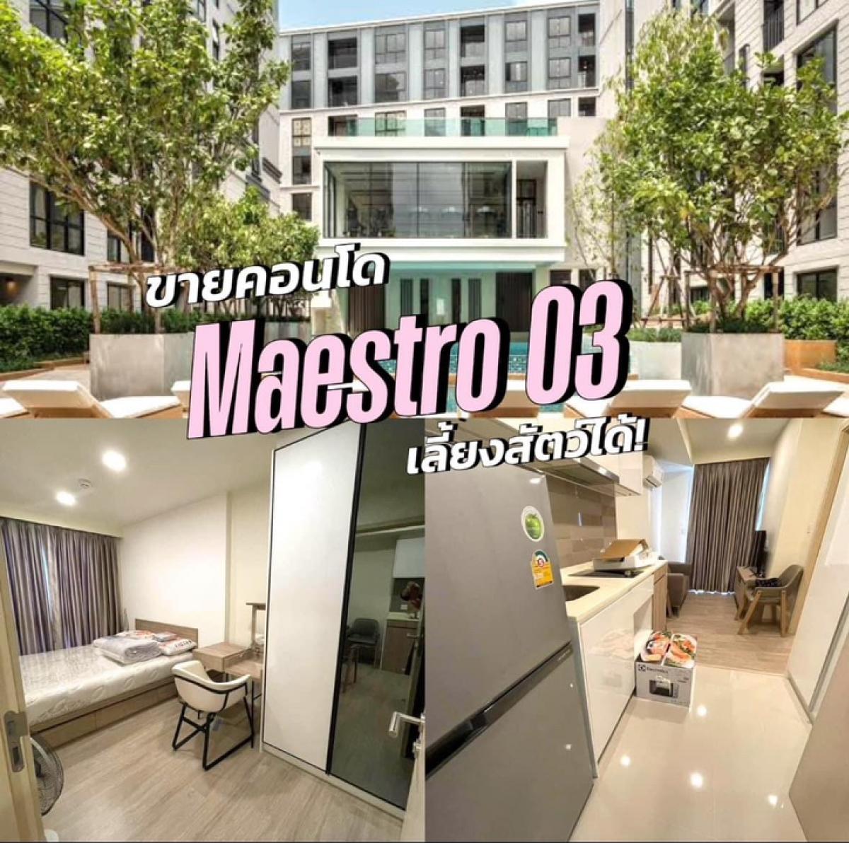 For SaleCondoRama9, Petchburi, RCA : 🎉✨ For Sale! Condo for sale that allows pets 📍 Condo for sale Maestro 03 Ratchada - Rama 9 (Maestro 03 Ratchada - Rama 9) allows pets.