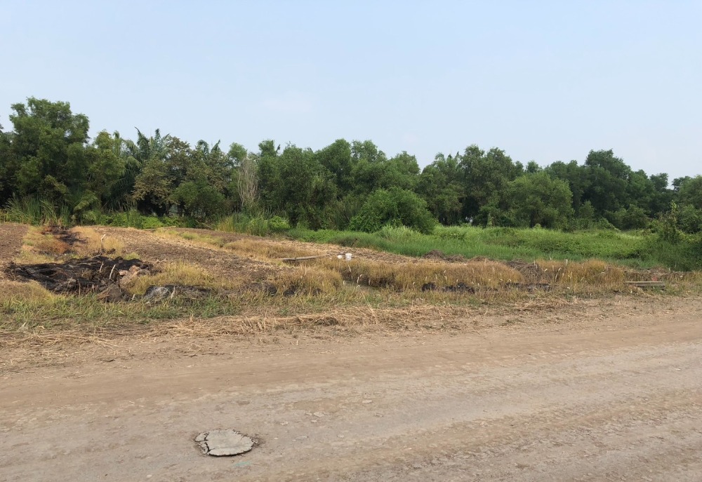 For SaleLandPathum Thani,Rangsit, Thammasat : Urgent sale, entire plot 6 rai 48 sq m.