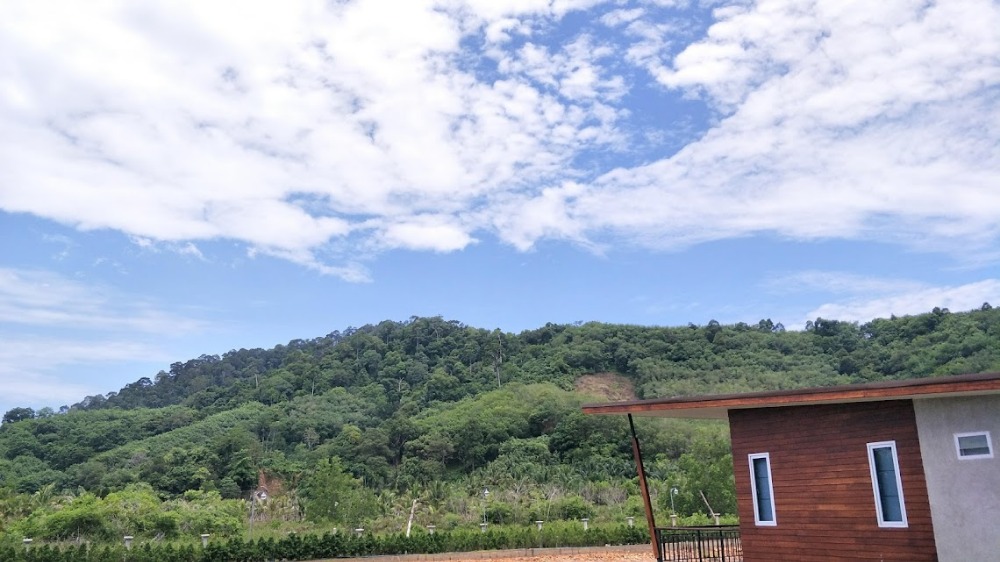 เริ่มความร่ำรวย ด้วยที่ดินฮวงจุ้นที่ดีเยี่ยม พร้อมดำเนินกิจการได้เลย รายได้เกินค่าเช่า Loading...