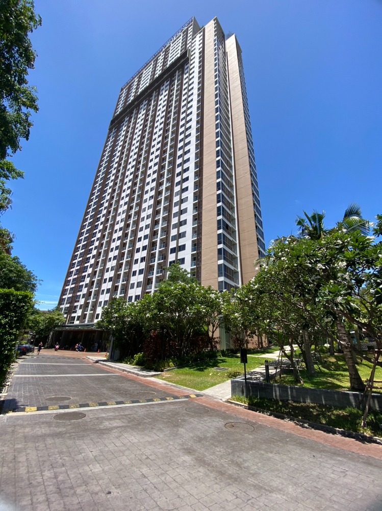 For SaleCondoPattaya, Bangsaen, Chonburi : For sale Unix South Pattaya