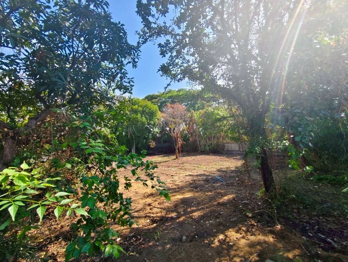 ขายที่ดินบางนา แบริ่ง ลาซาล : ขายที่ดินเปล่า ซอยราชวินิตบางแก้ว