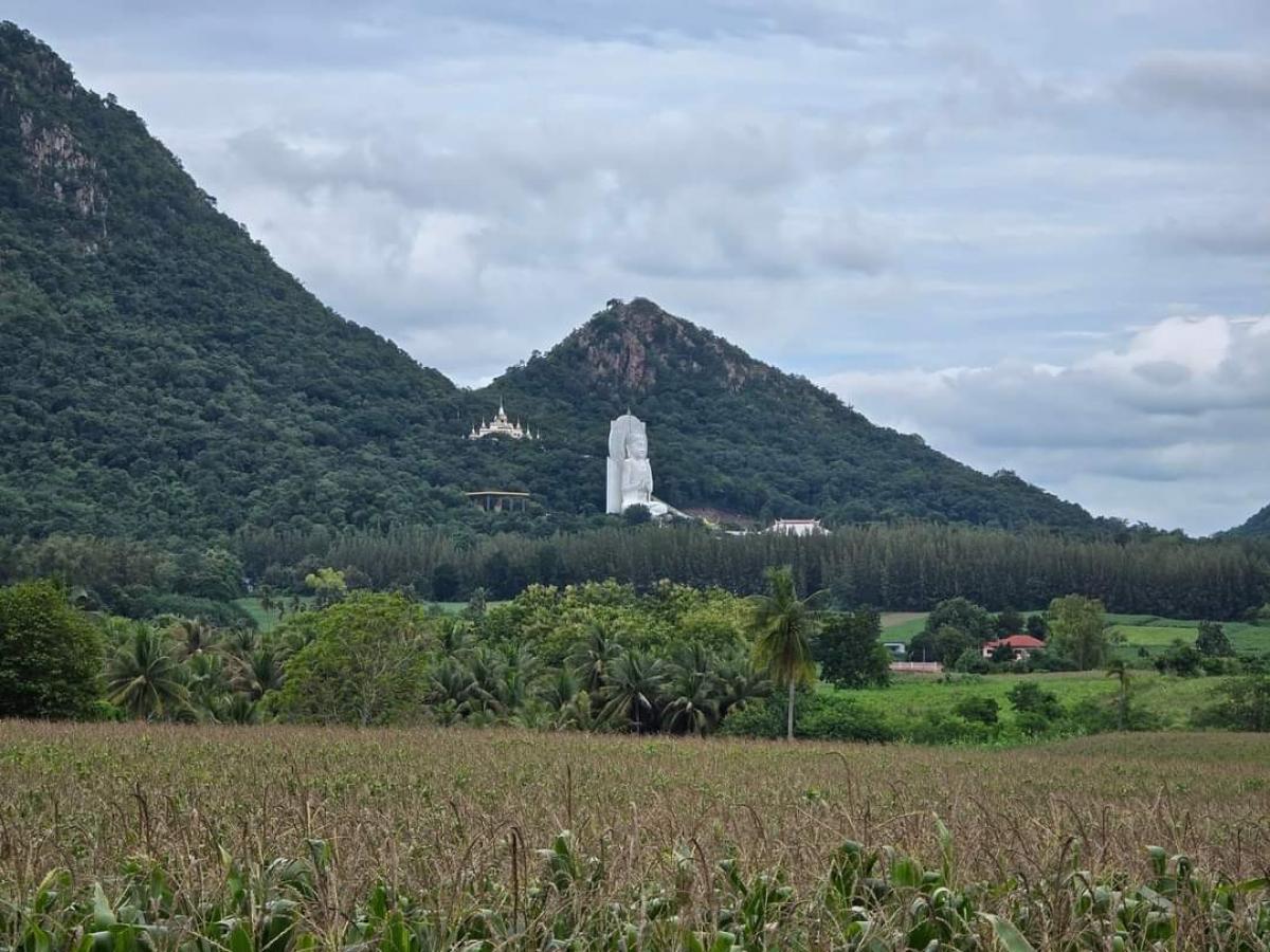 For SaleLandLop Buri : 💢Selling a very beautiful plot of land, cheap price🚩Area 24 rai 3 ngan 1 square wa, Nikhom Lam Narai Subdistrict, Chai Badan District, Lop Buri Province (Soi 129, Village No. 2), Saraburi-Lomsak Road